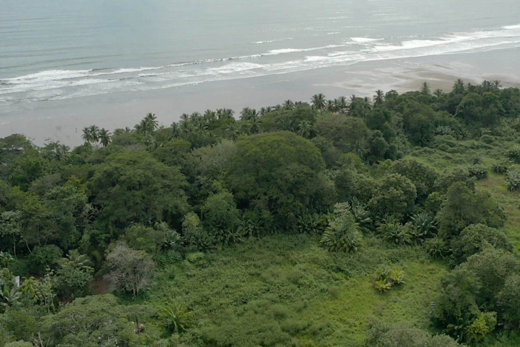 Beachside Parcel in Uvita — photo 5 of 15