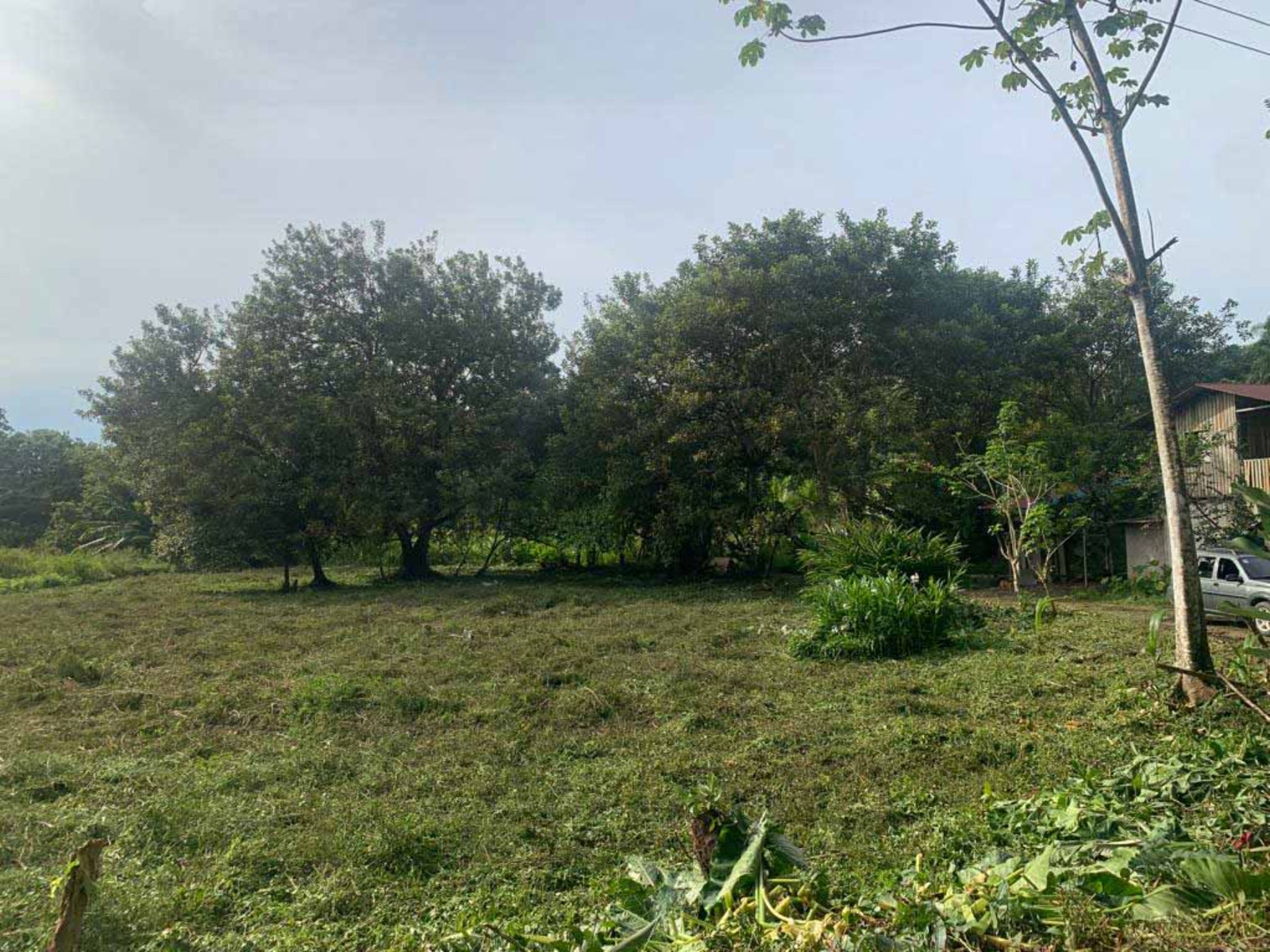 Beachside Parcel in Uvita — photo 9 of 15