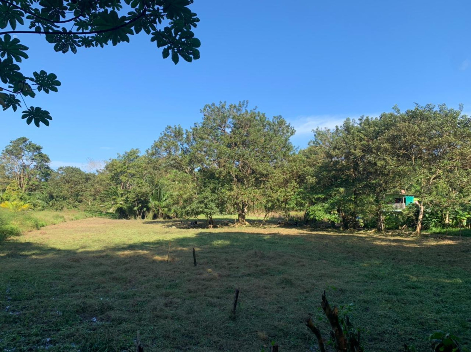 Beachside Parcel in Uvita — photo 10 of 15