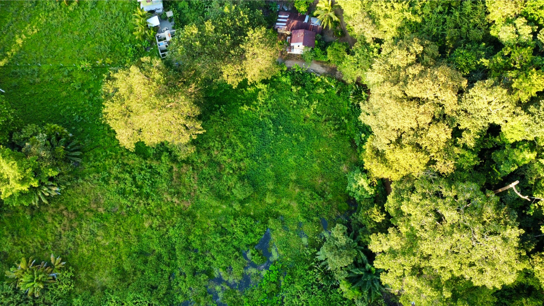 Beachside Parcel in Uvita — photo 14 of 15