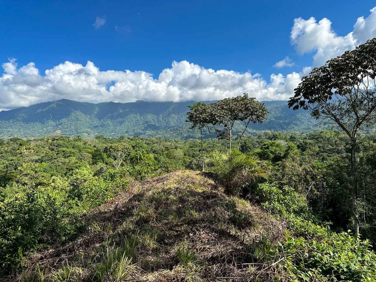 Ridgetop Jungle Property in Finca Maranon — photo 3 of 13