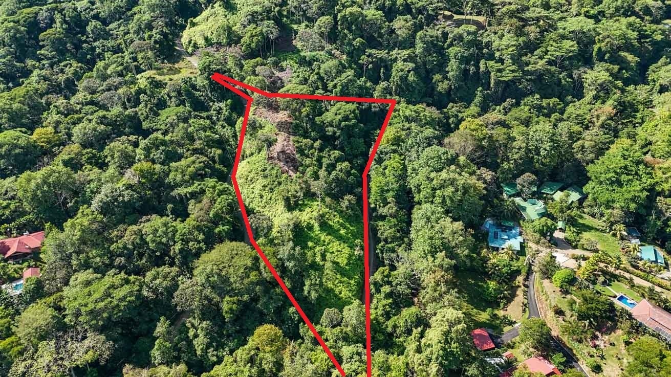 Ridgetop Jungle Property in Finca Maranon — photo 4 of 13