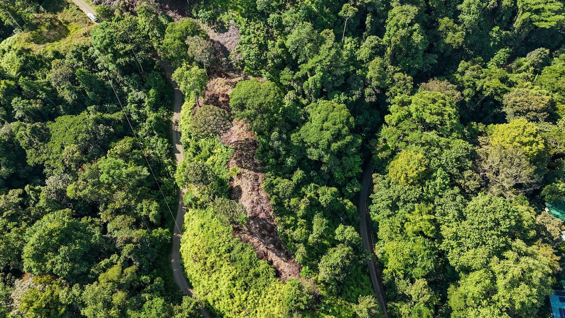 Ridgetop Jungle Property in Finca Maranon — photo 2 of 13