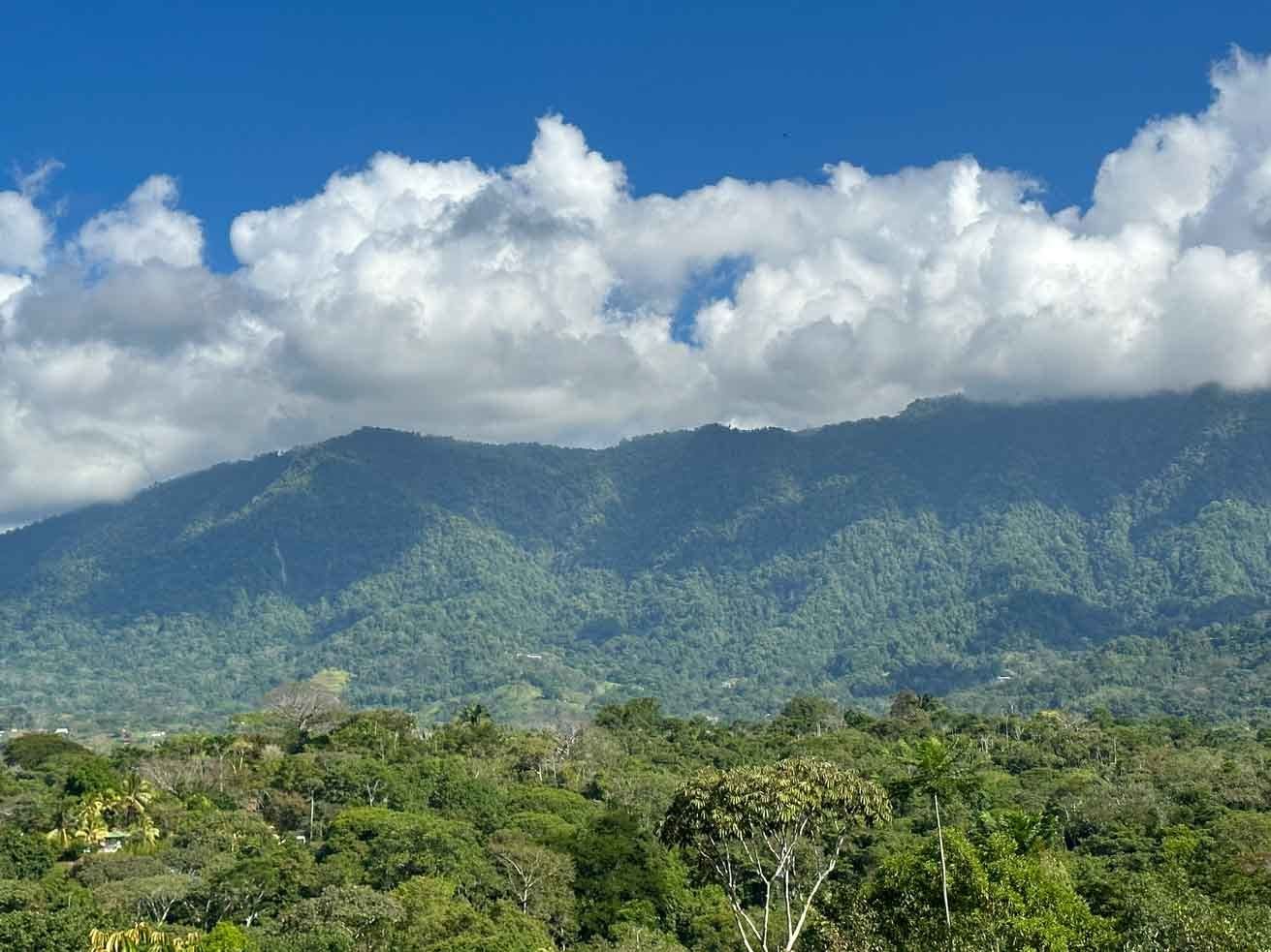 Ridgetop Jungle Property in Finca Maranon — photo 5 of 13