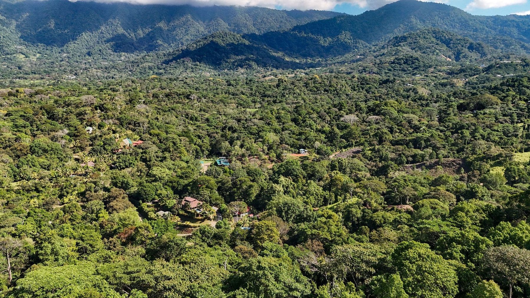 Ridgetop Jungle Property in Finca Maranon — photo 6 of 13
