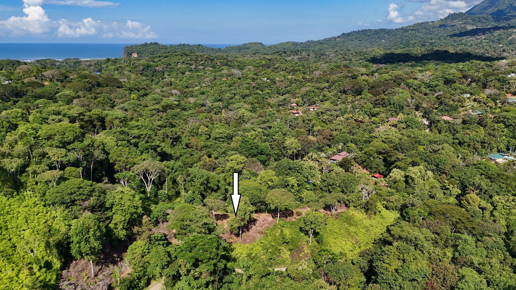Ridgetop Jungle Property in Finca Maranon — photo 7 of 13
