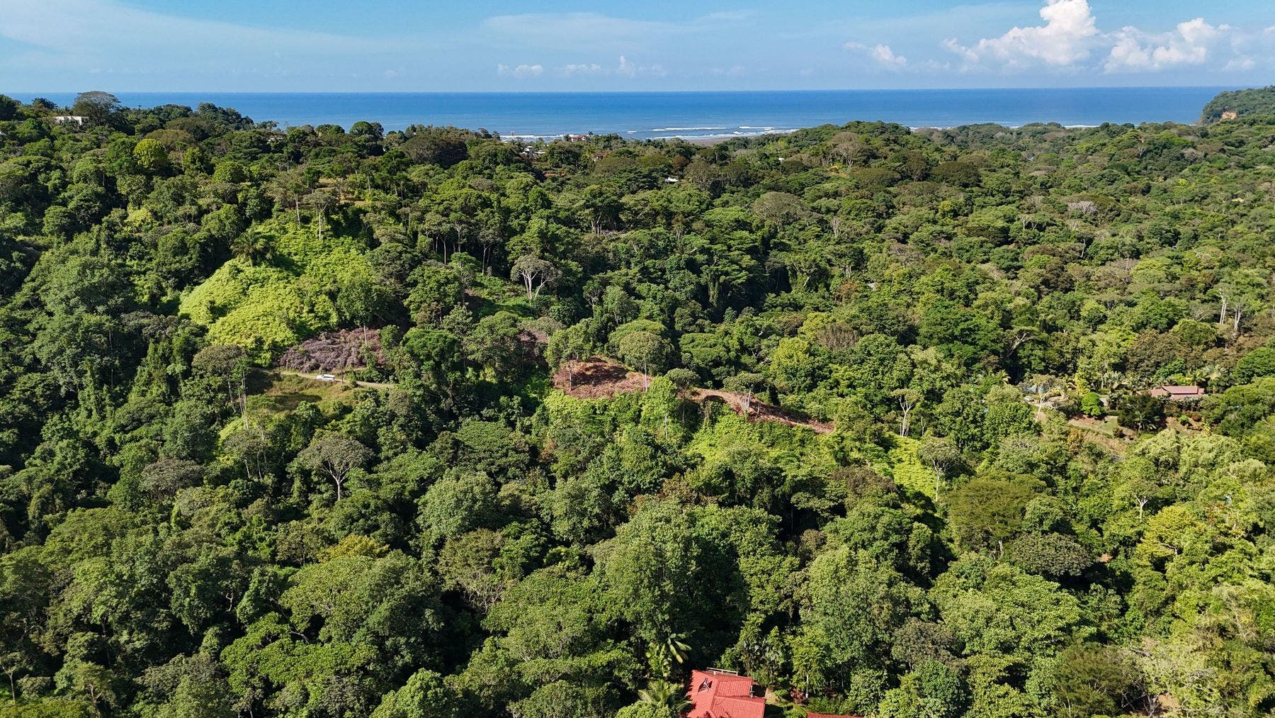 Ridgetop Jungle Property in Finca Maranon — photo 8 of 13