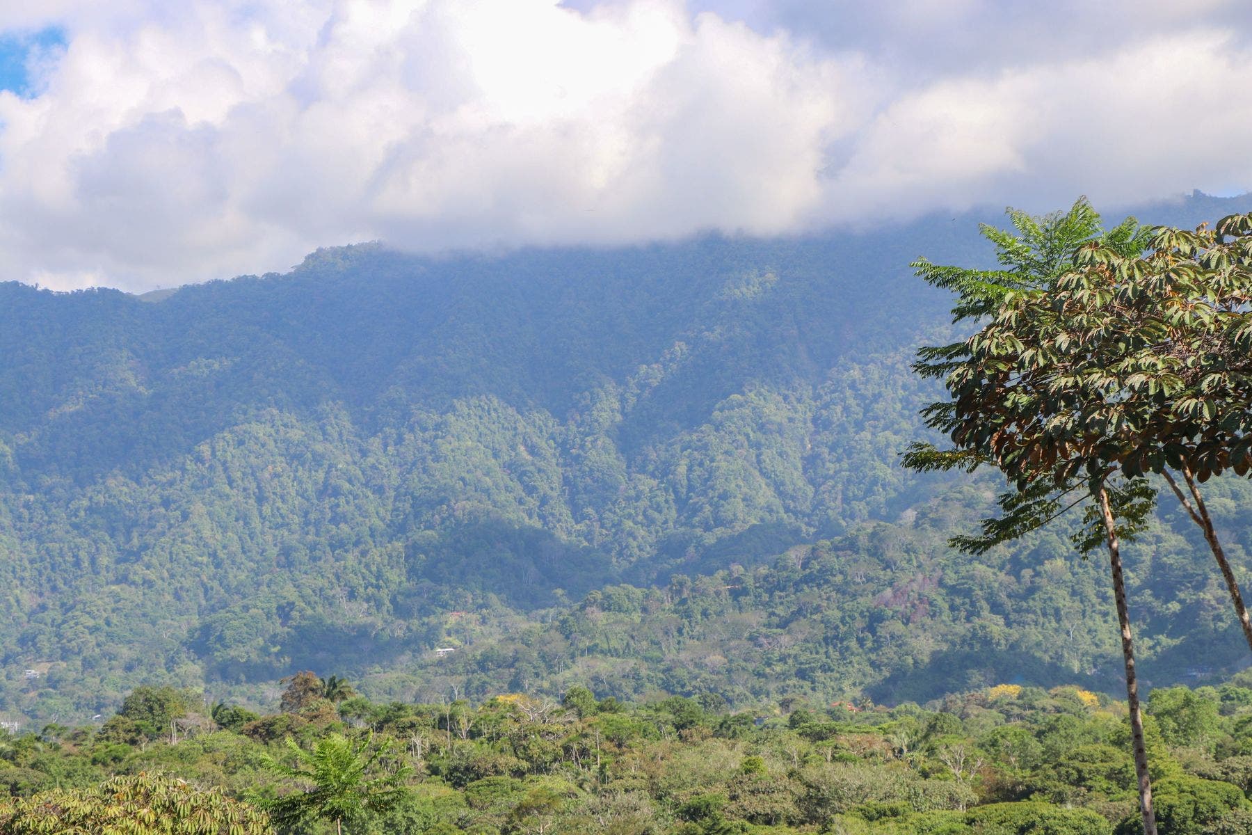 Ridgetop Jungle Property in Finca Maranon — photo 13 of 13
