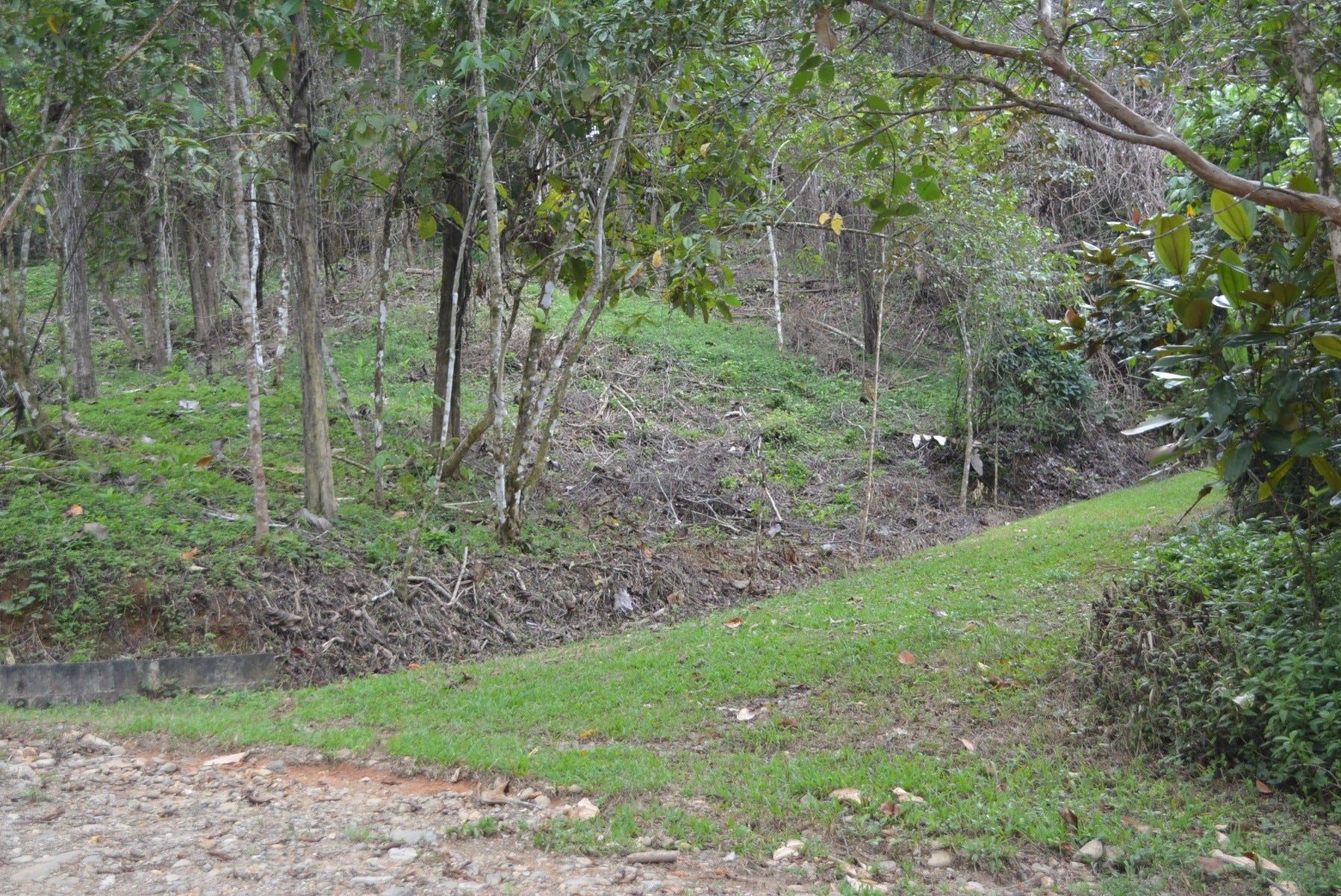 Five Lots in Lagunas of the Southern Zone — photo 3 of 11