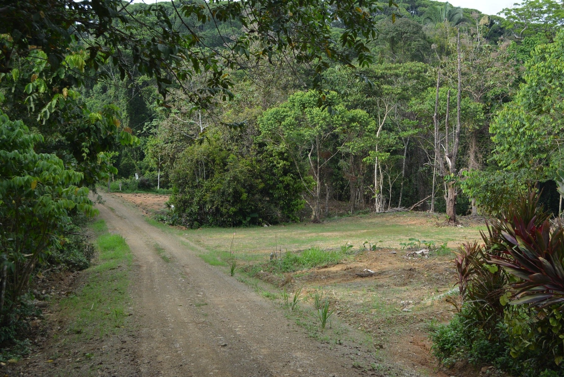 Five Lots in Lagunas of the Southern Zone, Lagunas, Lagunas, Dominical, Bahia Ballena, Osa, Puntarenas, Costa Rica 60504