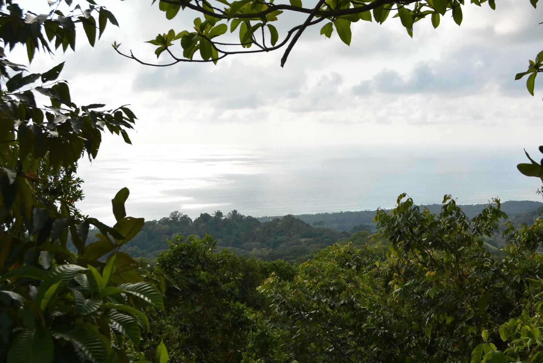 Five Lots in Lagunas of the Southern Zone — photo 2 of 11