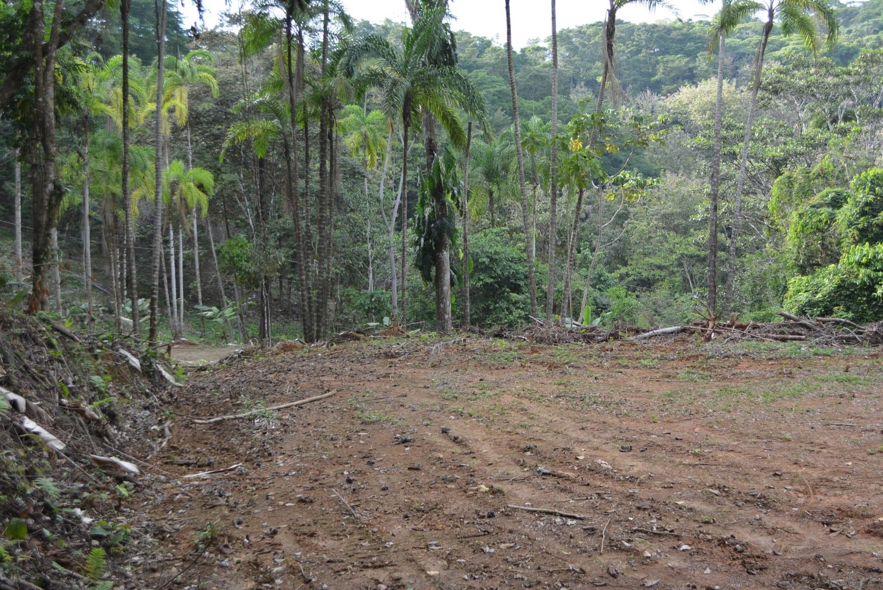 Five Lots in Lagunas of the Southern Zone — photo 5 of 11