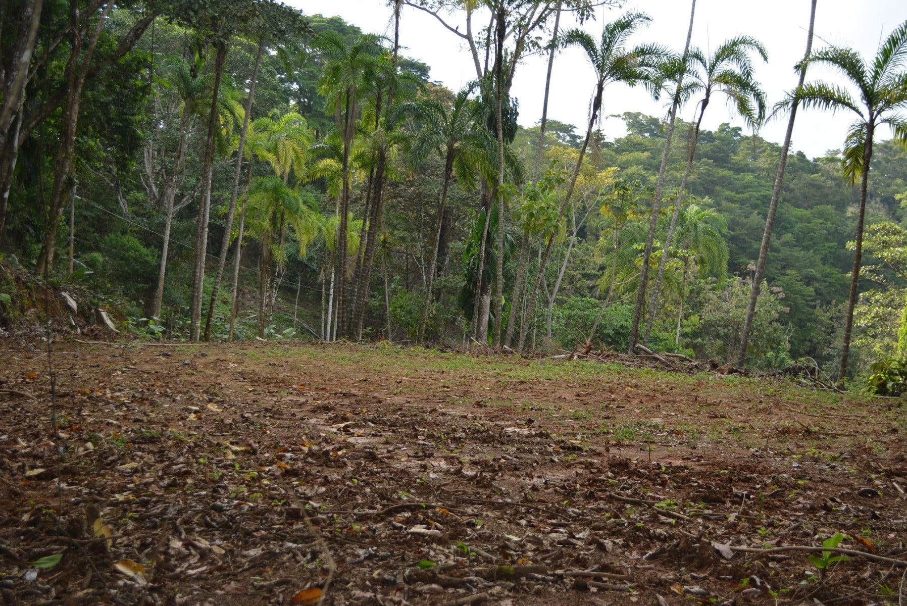 Five Lots in Lagunas of the Southern Zone — photo 6 of 11