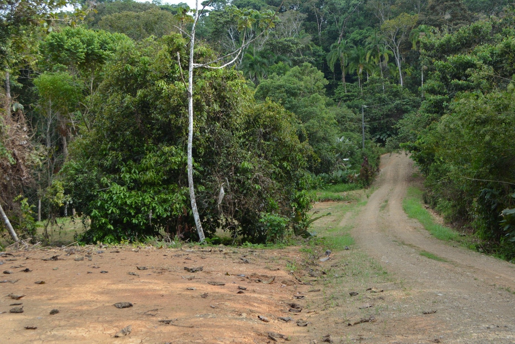 Five Lots in Lagunas of the Southern Zone — photo 7 of 11