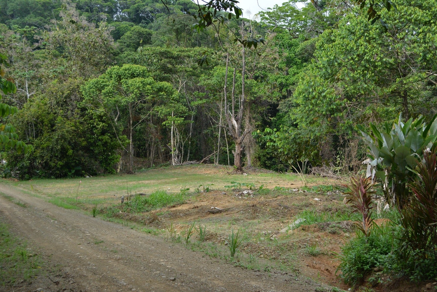 Five Lots in Lagunas of the Southern Zone — photo 8 of 11