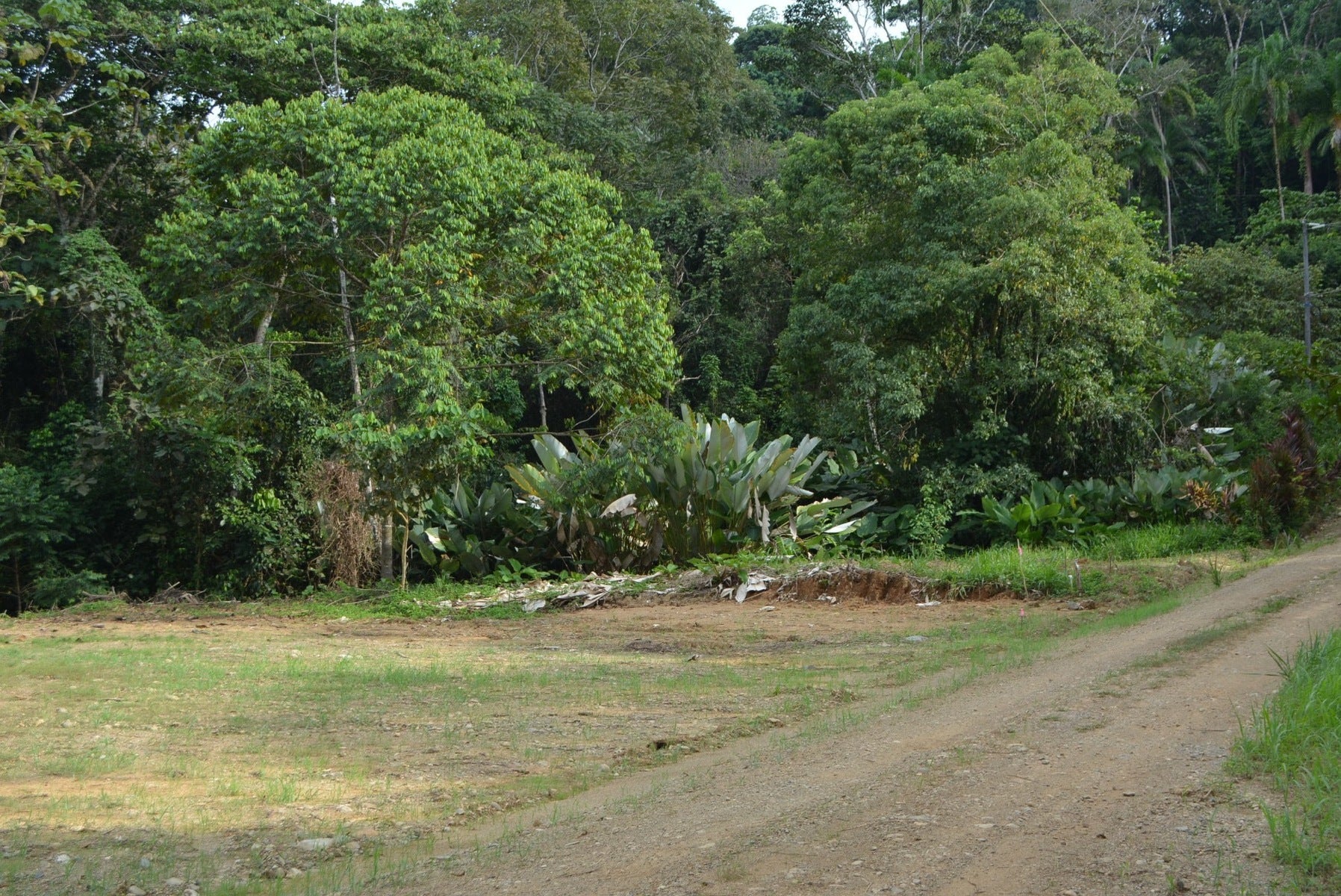 Five Lots in Lagunas of the Southern Zone — photo 9 of 11