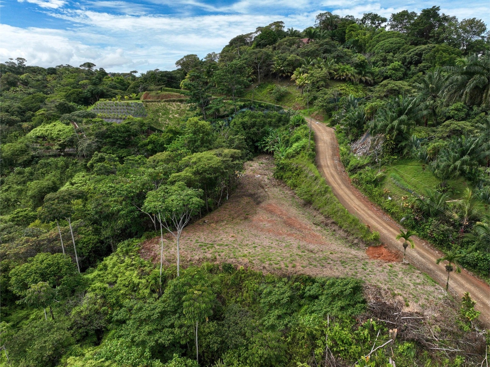 Ocean View Lot in Calle Perezoso — photo 5 of 6