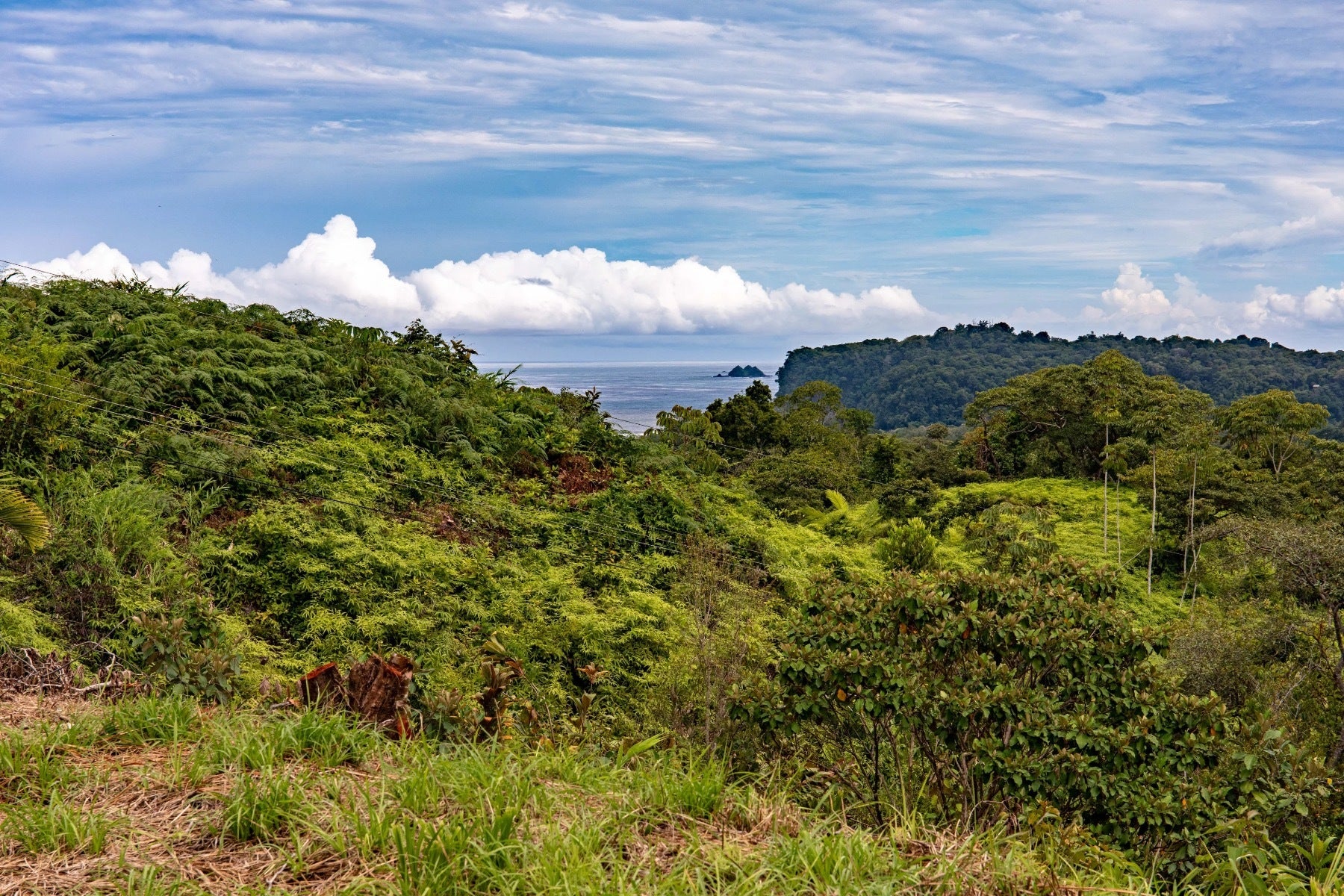 Ocean View Lot in Calle Perezoso, Ojochal, Bahia Ballena, Osa, Puntarenas, Costa Rica 60501