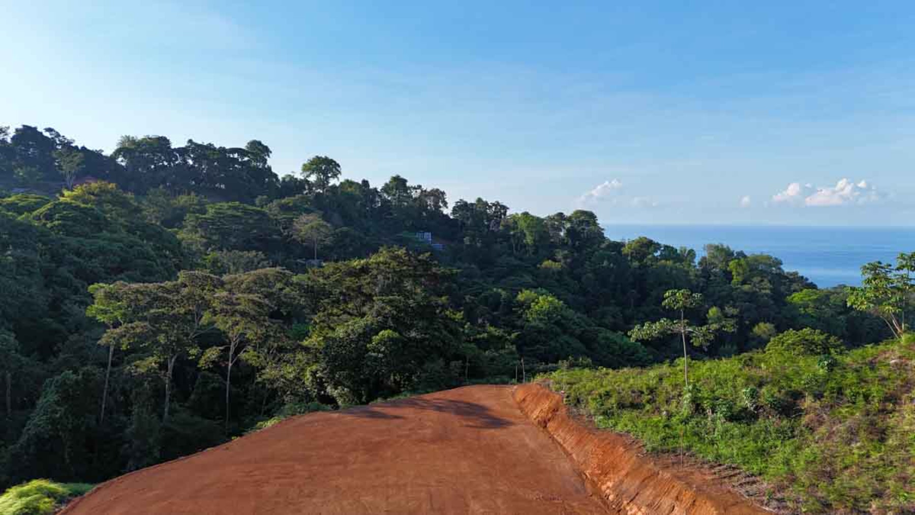 Jungle and River Lot — photo 7 of 13