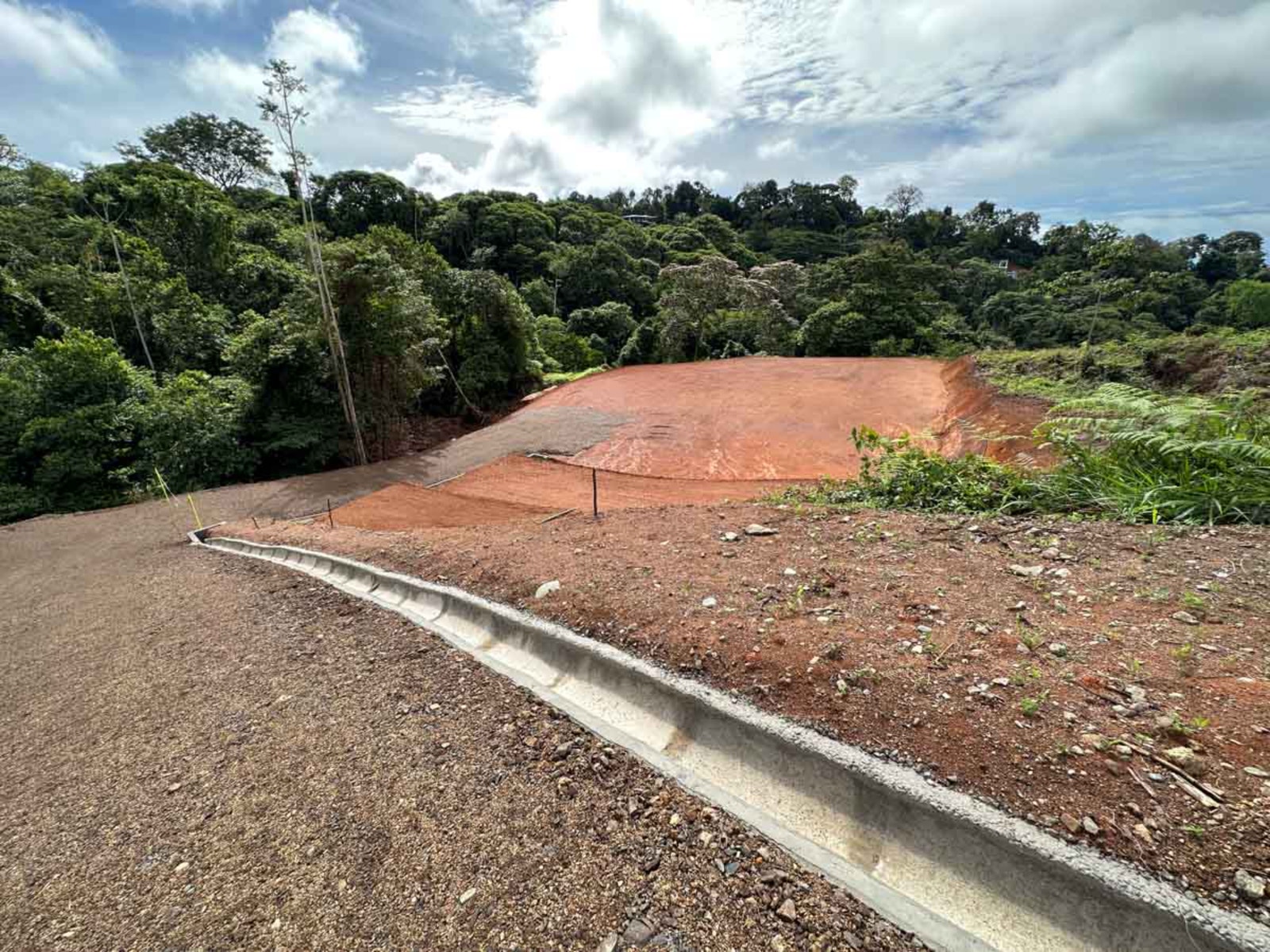 Jungle and River Lot — photo 8 of 13
