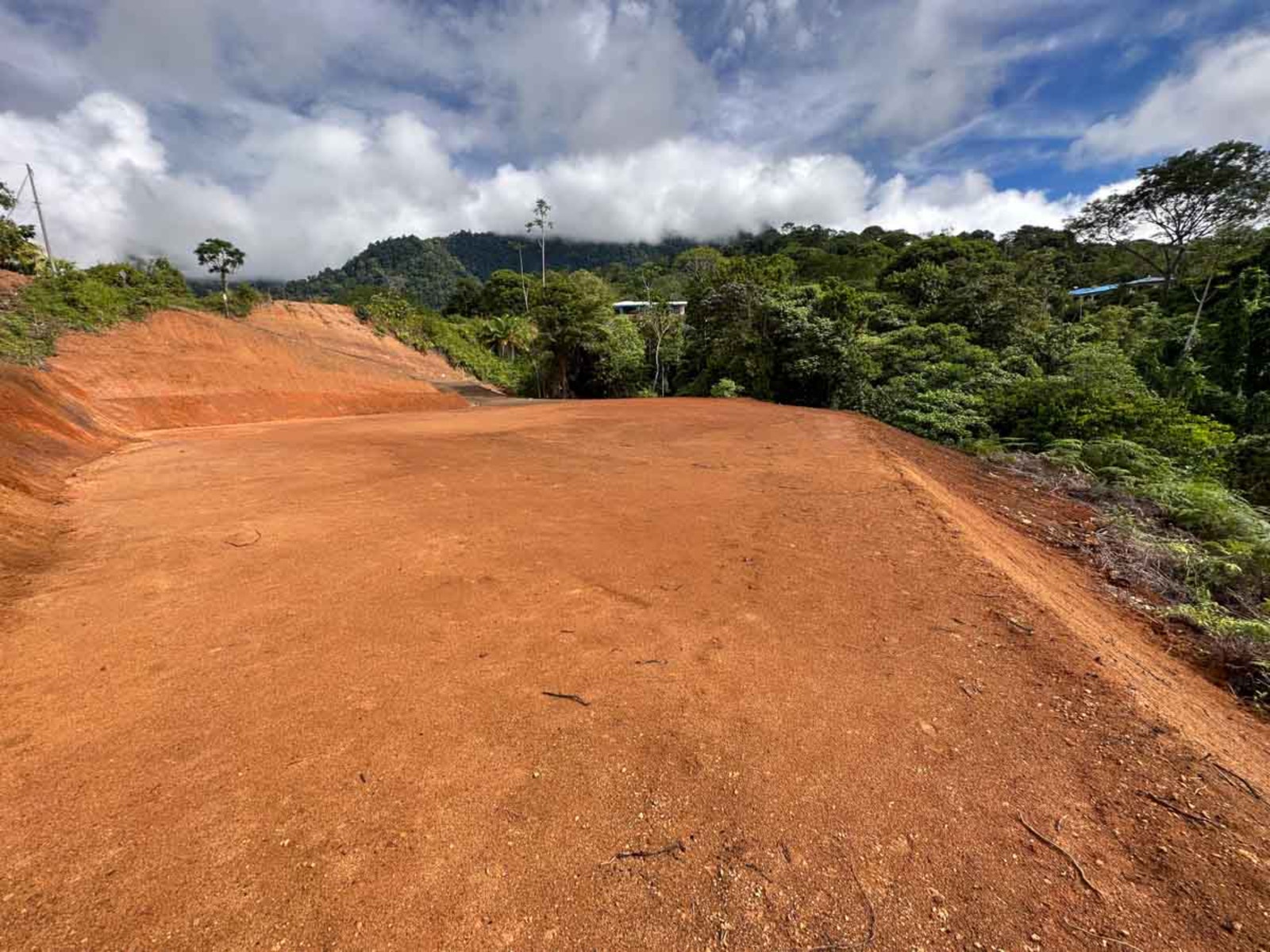 Jungle and River Lot — photo 11 of 13
