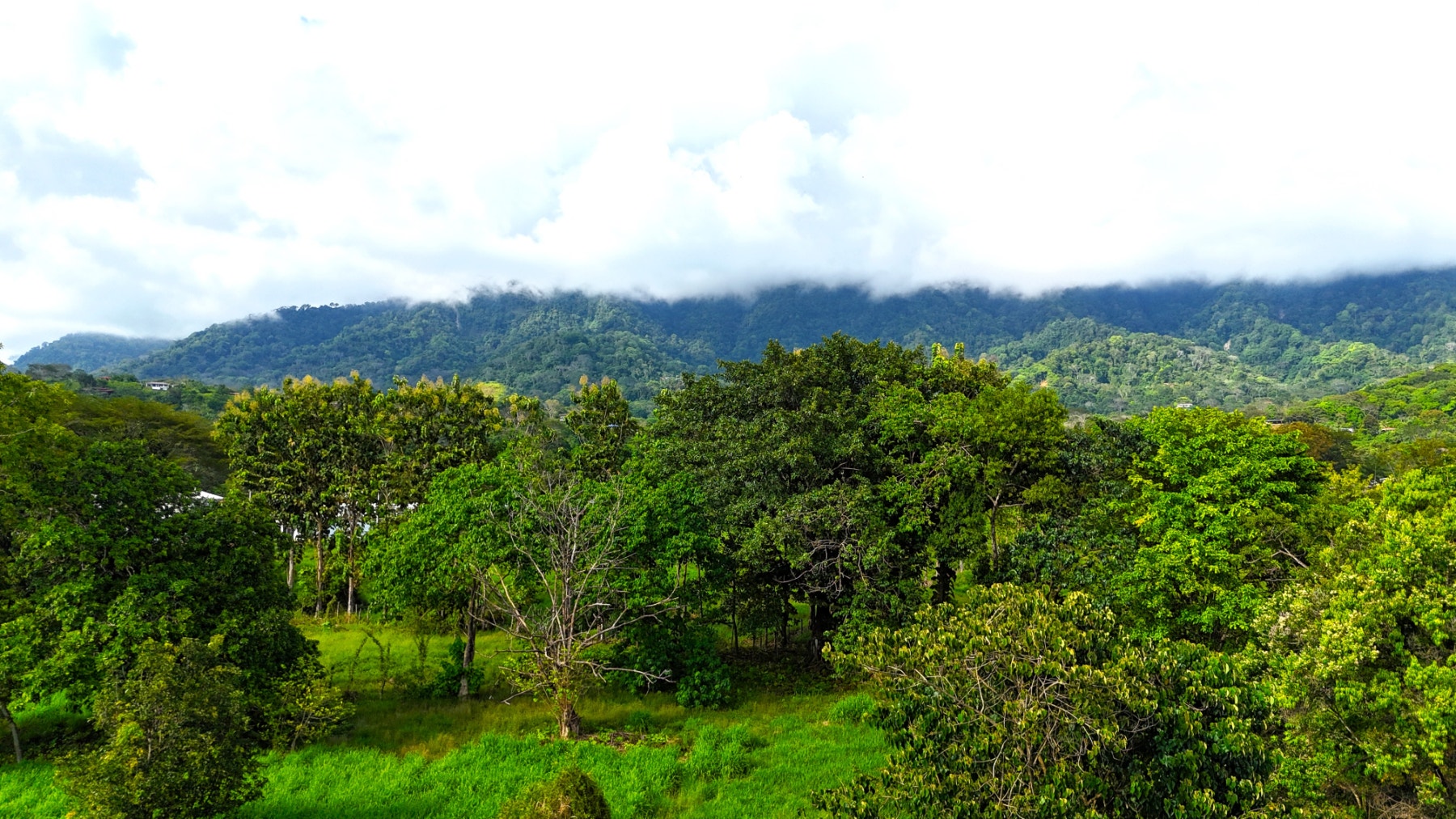 Heart of Ojochal Mountain View Lot — photo 4 of 12