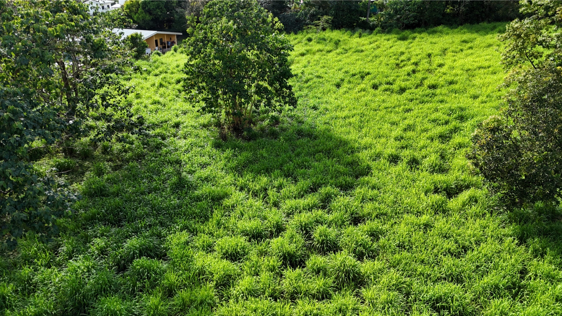 Heart of Ojochal Mountain View Lot — photo 5 of 12