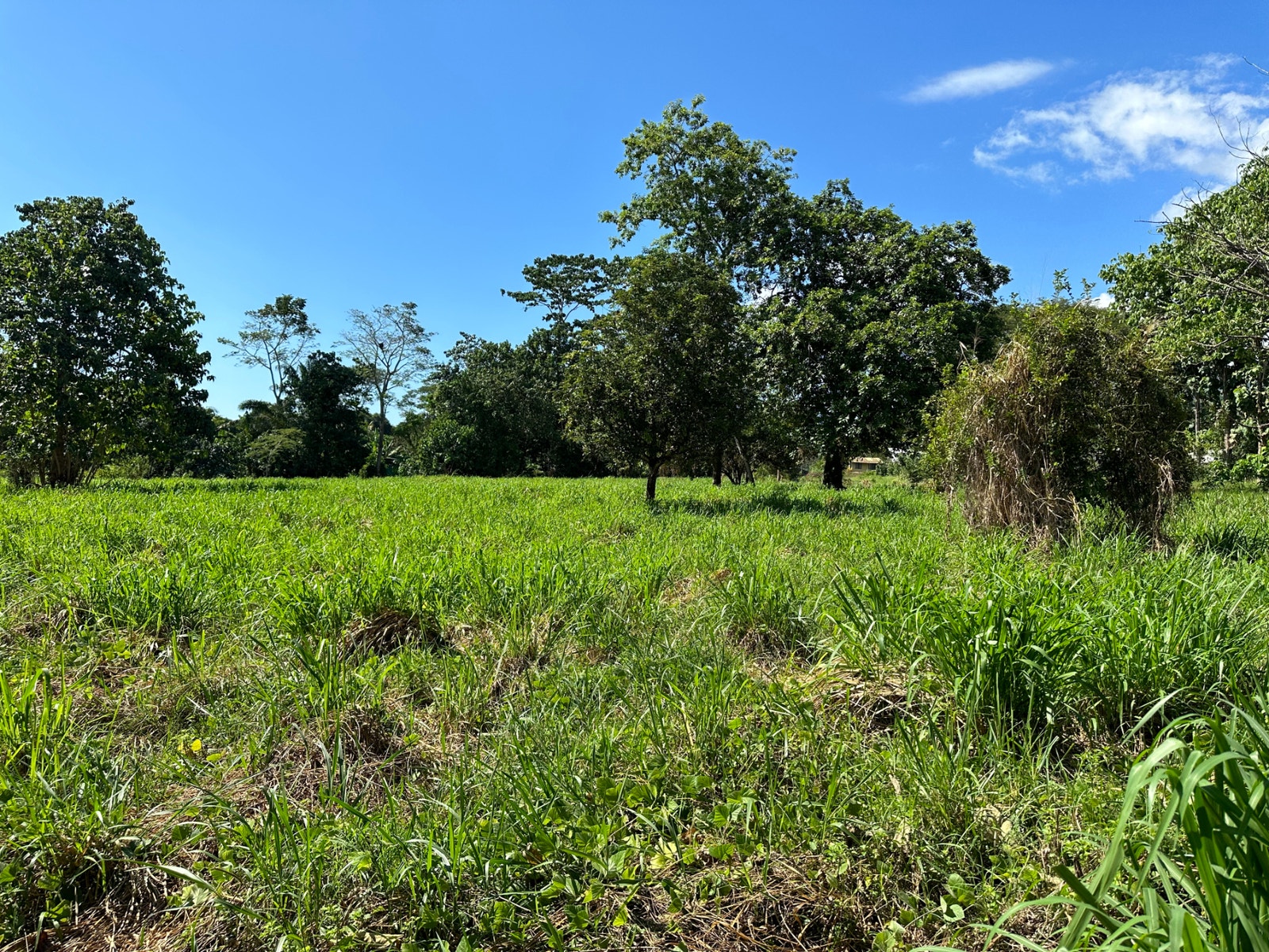 Heart of Ojochal Mountain View Lot — photo 7 of 12