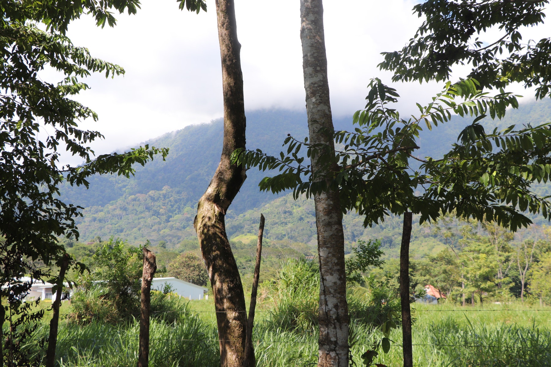 Heart of Ojochal Mountain View Lot — photo 9 of 12