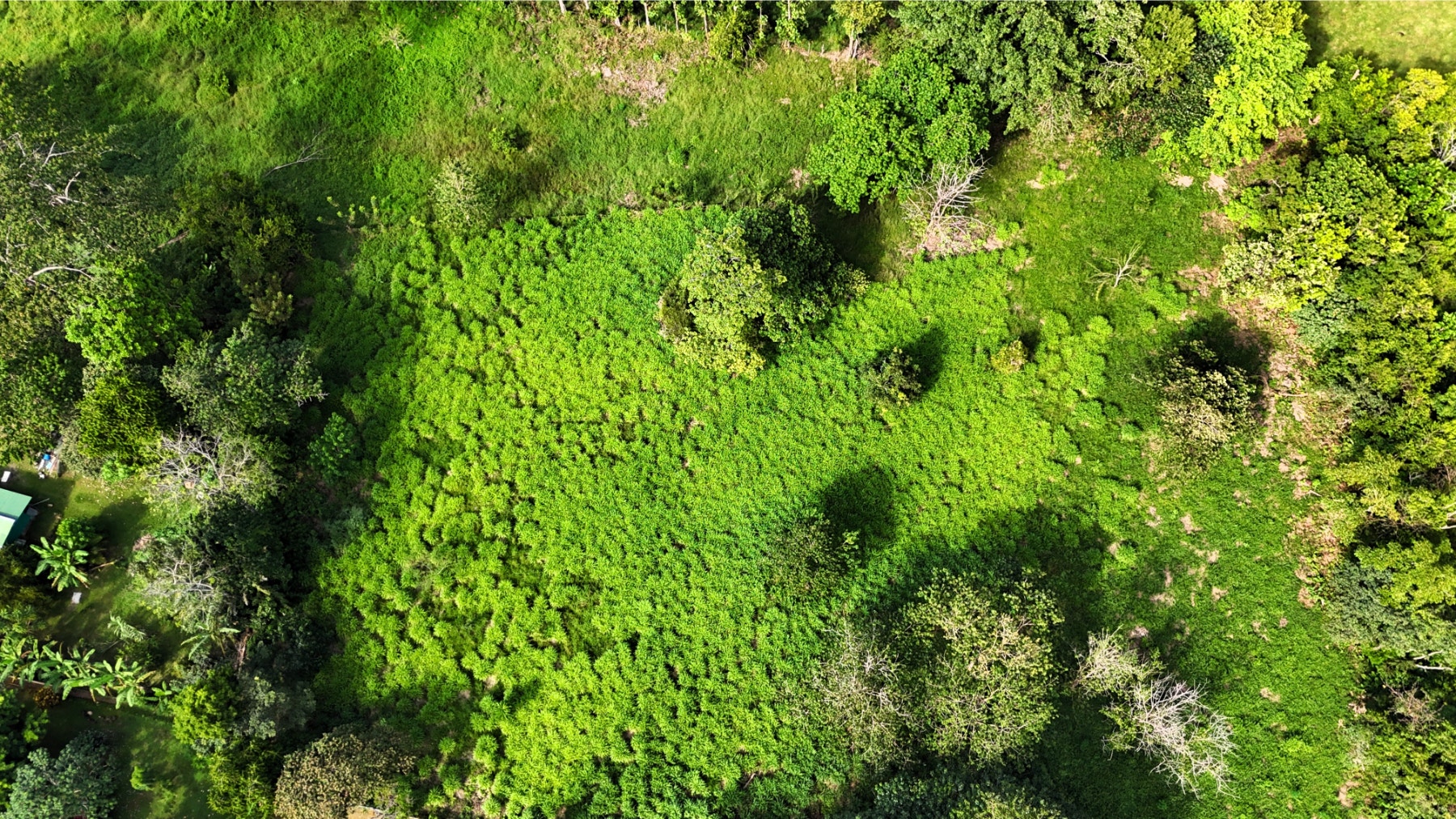 Heart of Ojochal Mountain View Lot — photo 12 of 12