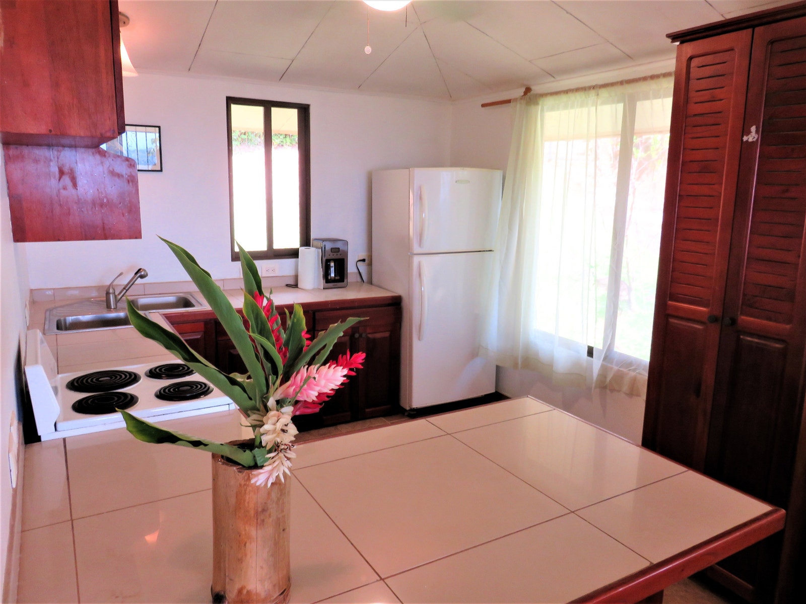 Casa Aracari Ocean and Sunset Views — photo 6 of 19