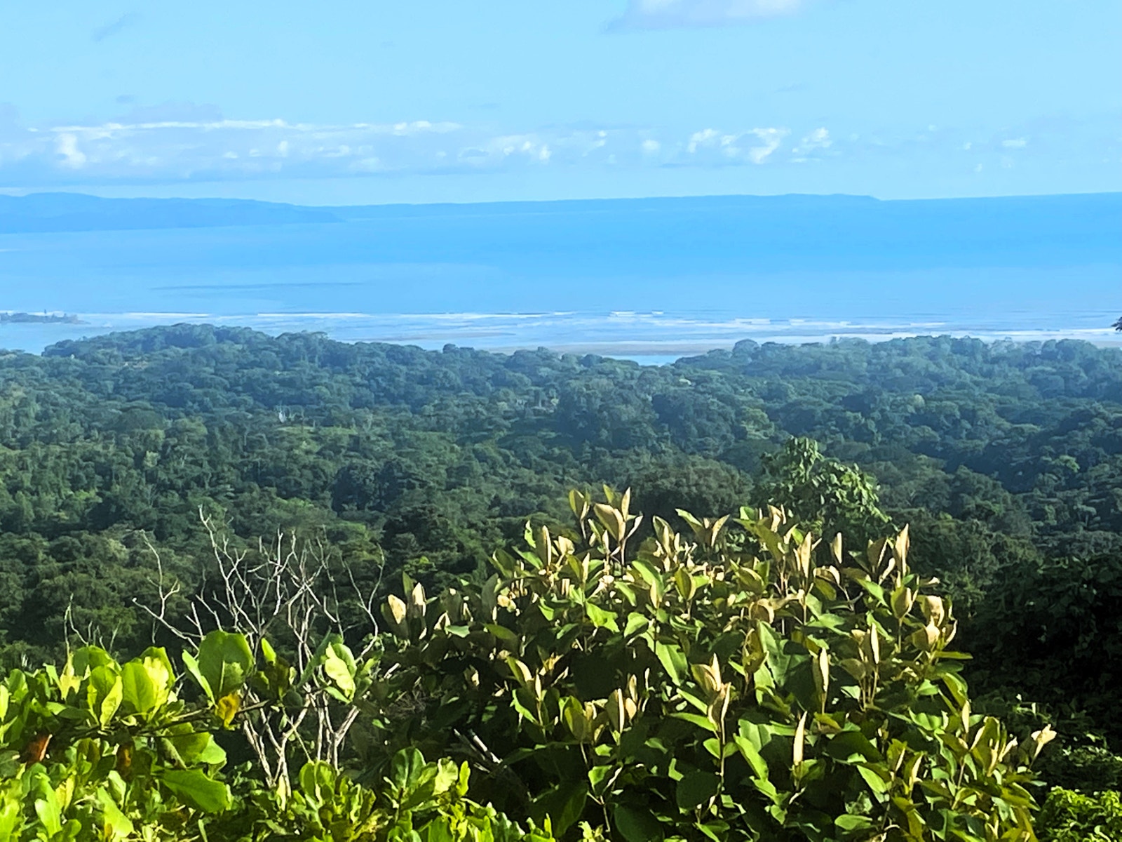 Casa Aracari Ocean and Sunset Views — photo 12 of 19