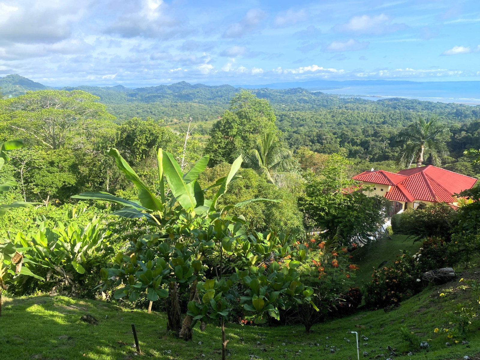 Casa Aracari Ocean and Sunset Views — photo 13 of 19