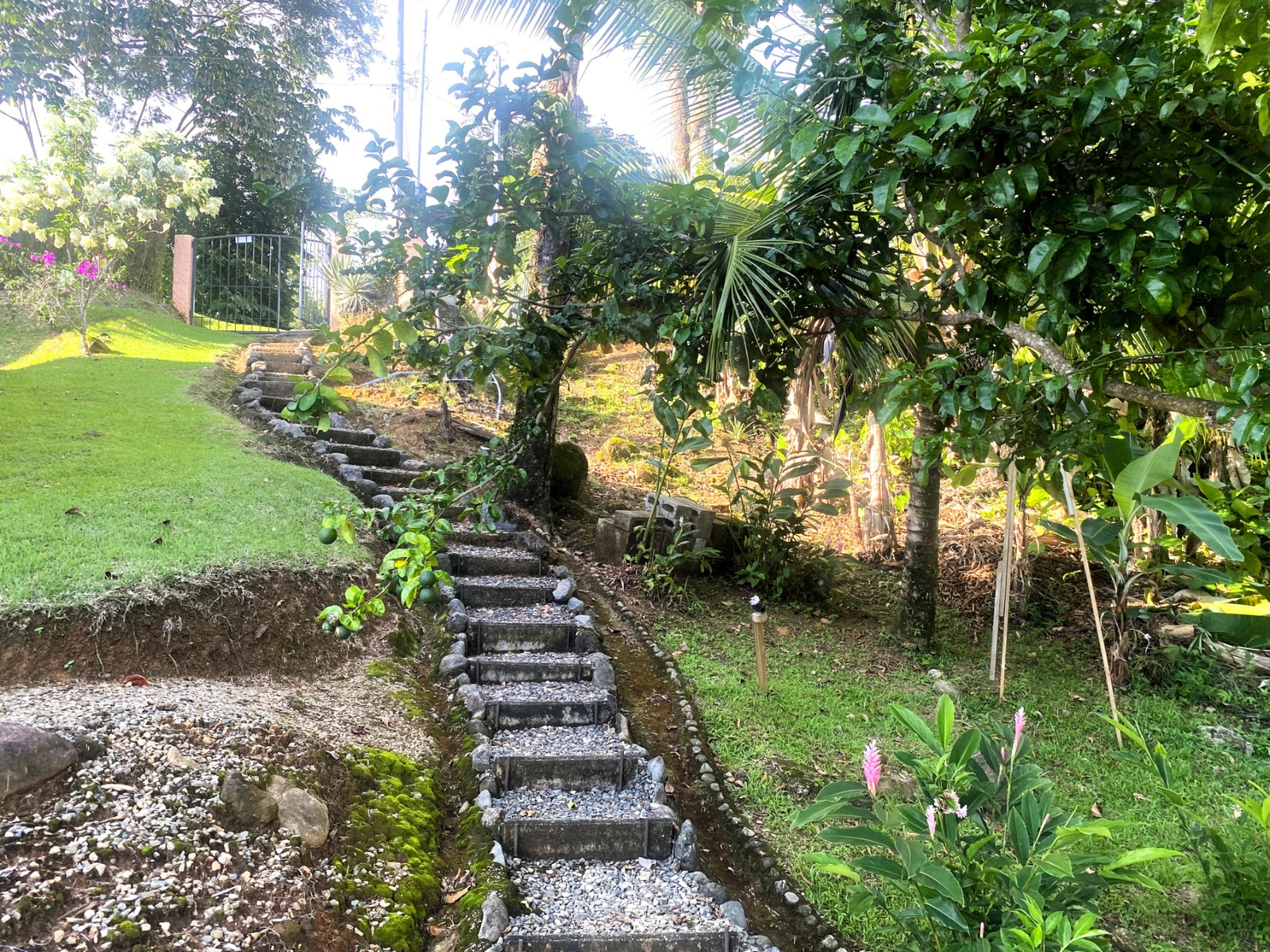Casa Aracari Ocean and Sunset Views — photo 14 of 19