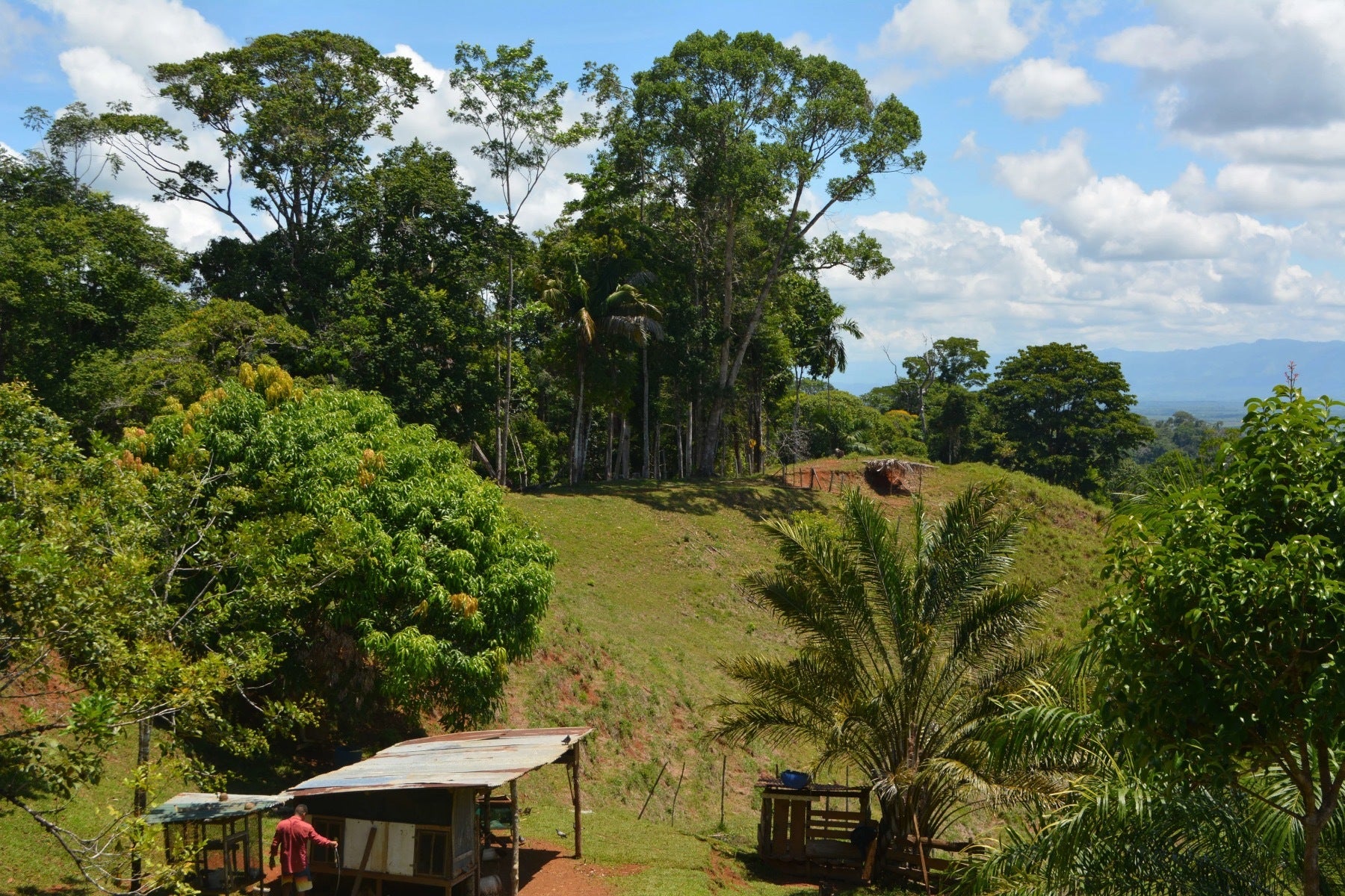 Osa Peninsula Los Mogos Property — photo 3 of 15