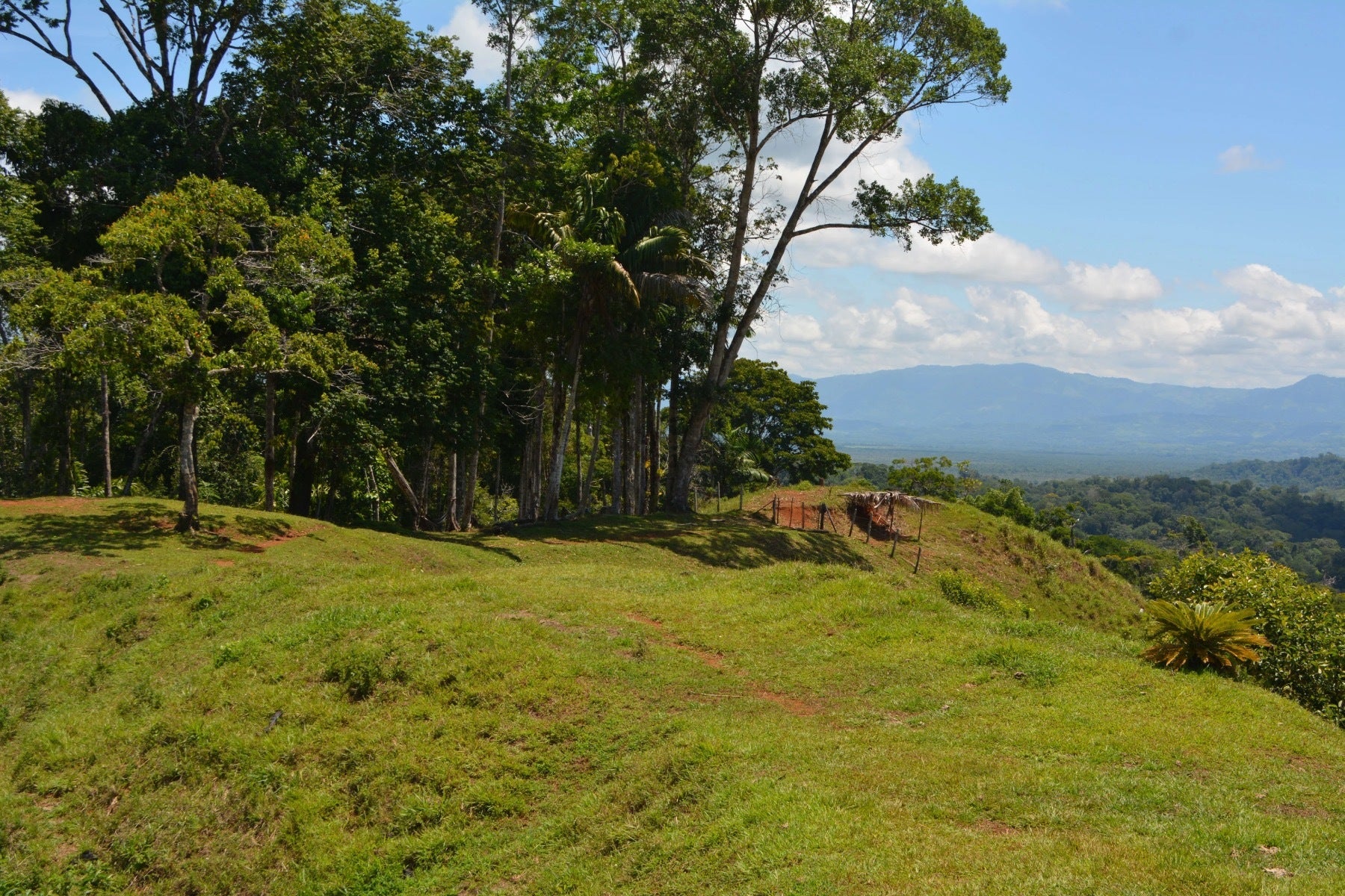 Osa Peninsula Los Mogos Property — photo 7 of 15