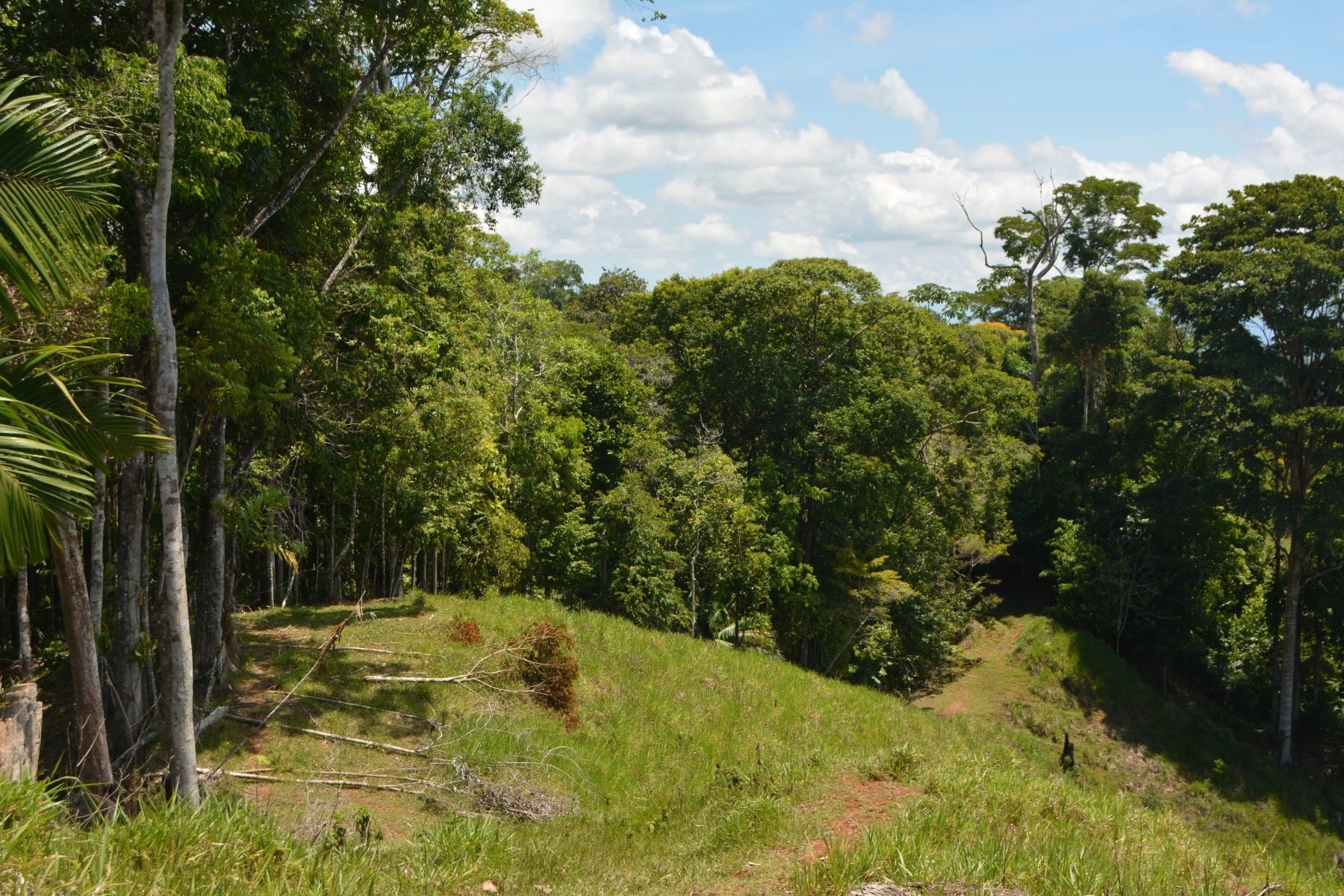 Osa Peninsula Los Mogos Property — photo 4 of 15