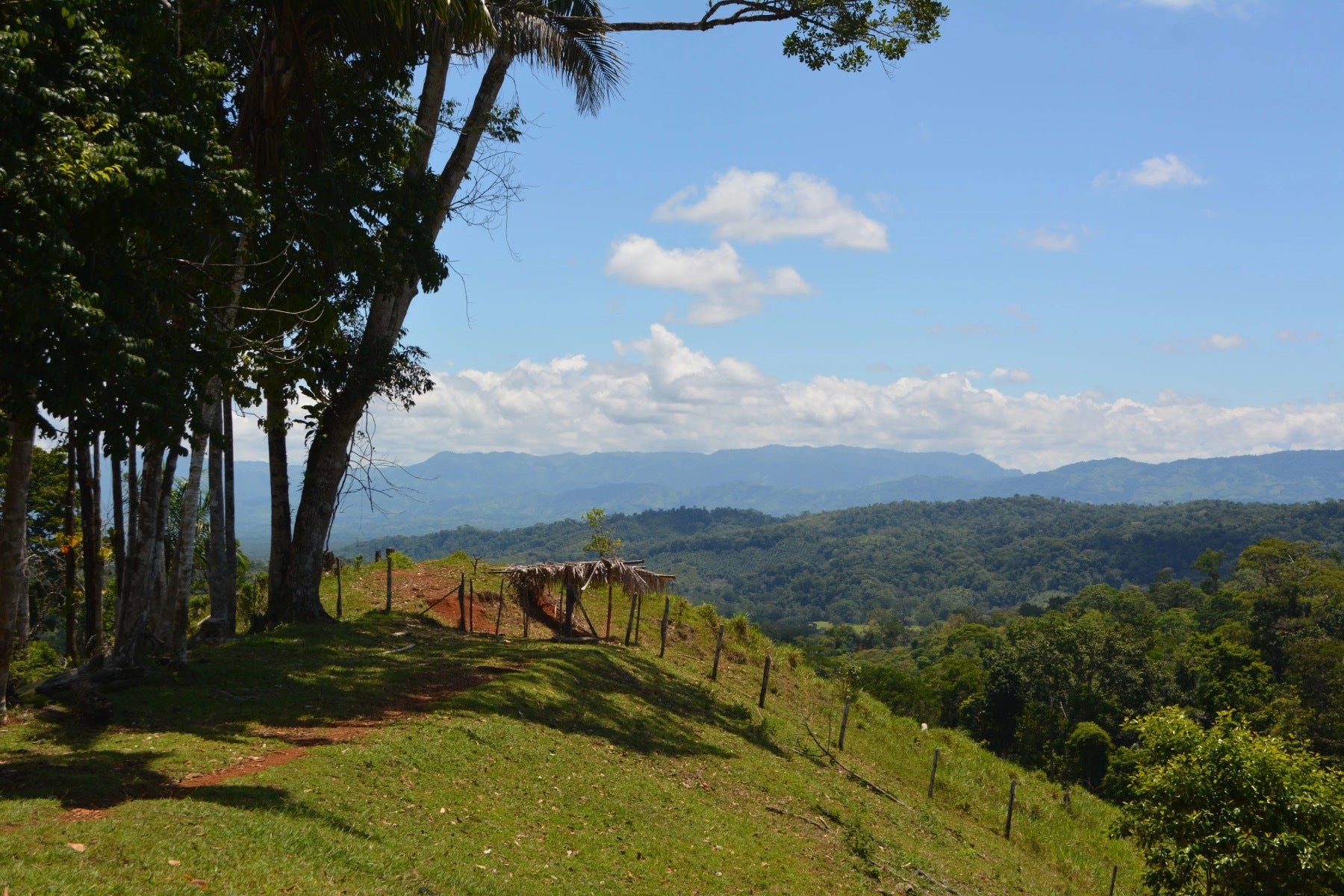 Osa Peninsula Los Mogos Property — photo 8 of 15