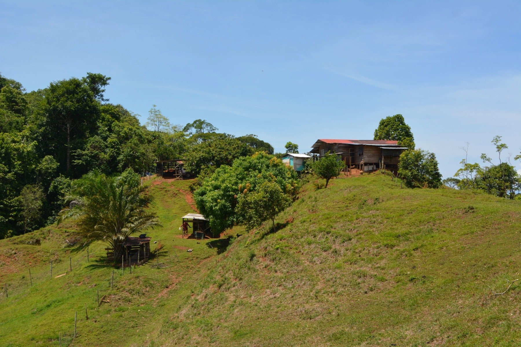 Osa Peninsula Los Mogos Property — photo 5 of 15
