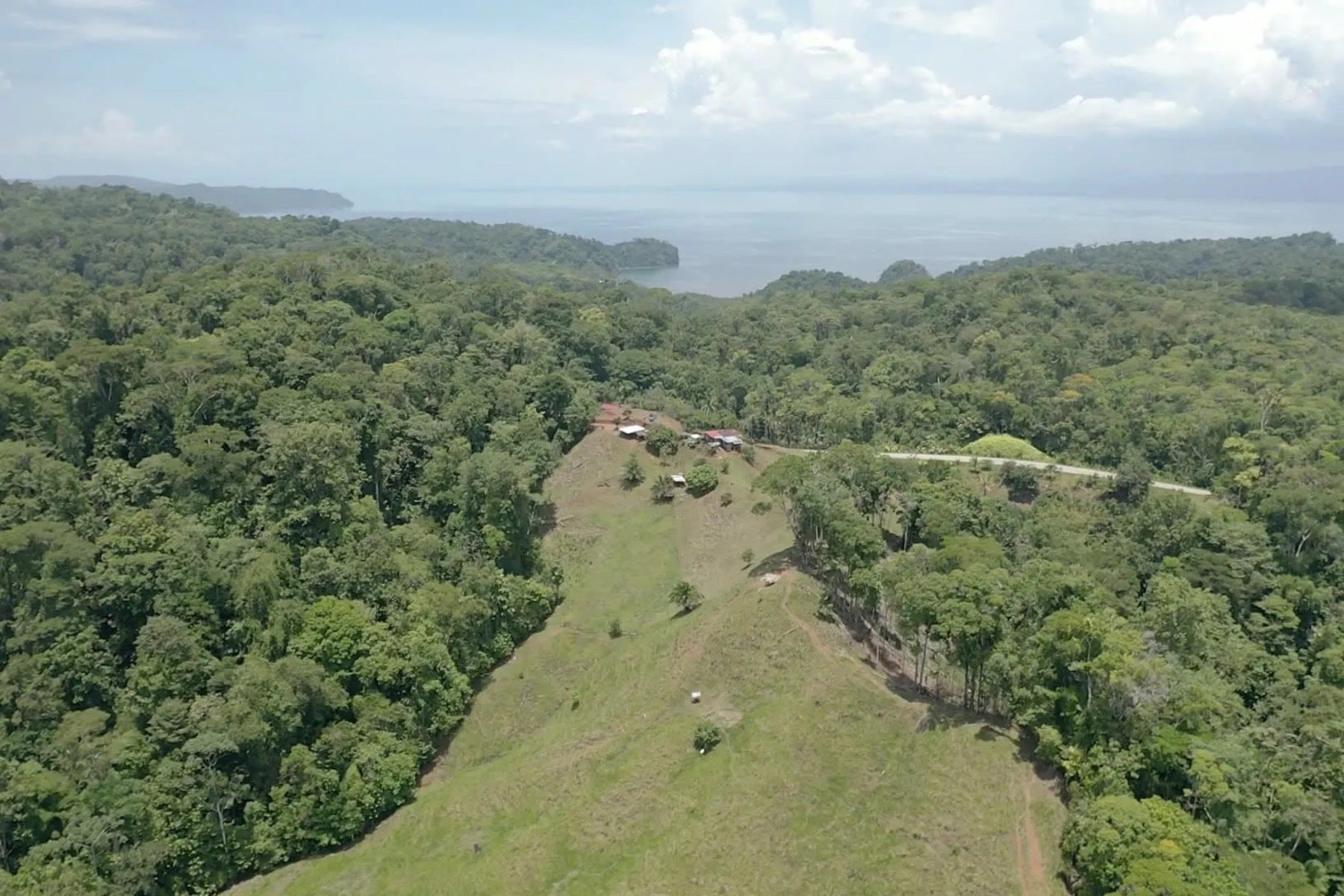 Osa Peninsula Los Mogos Property — photo 11 of 15