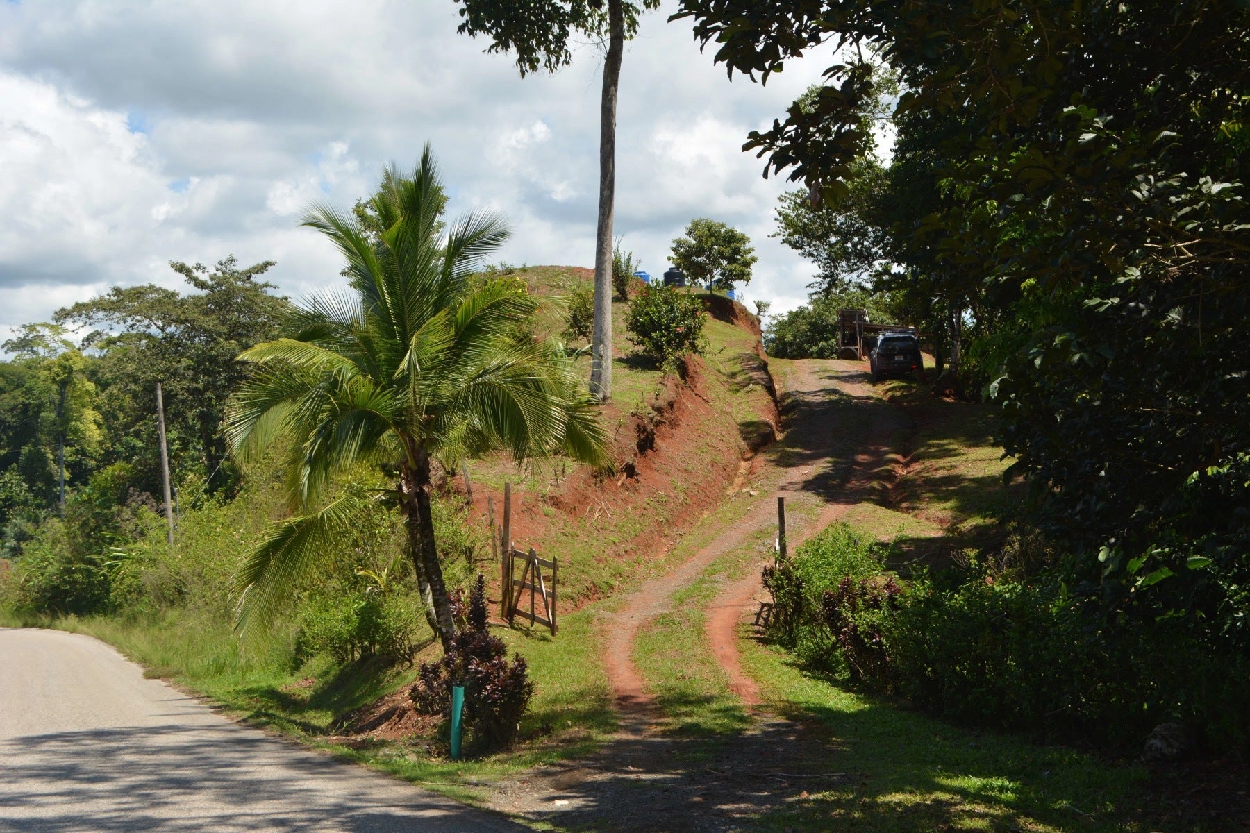 Osa Peninsula Los Mogos Property — photo 10 of 15