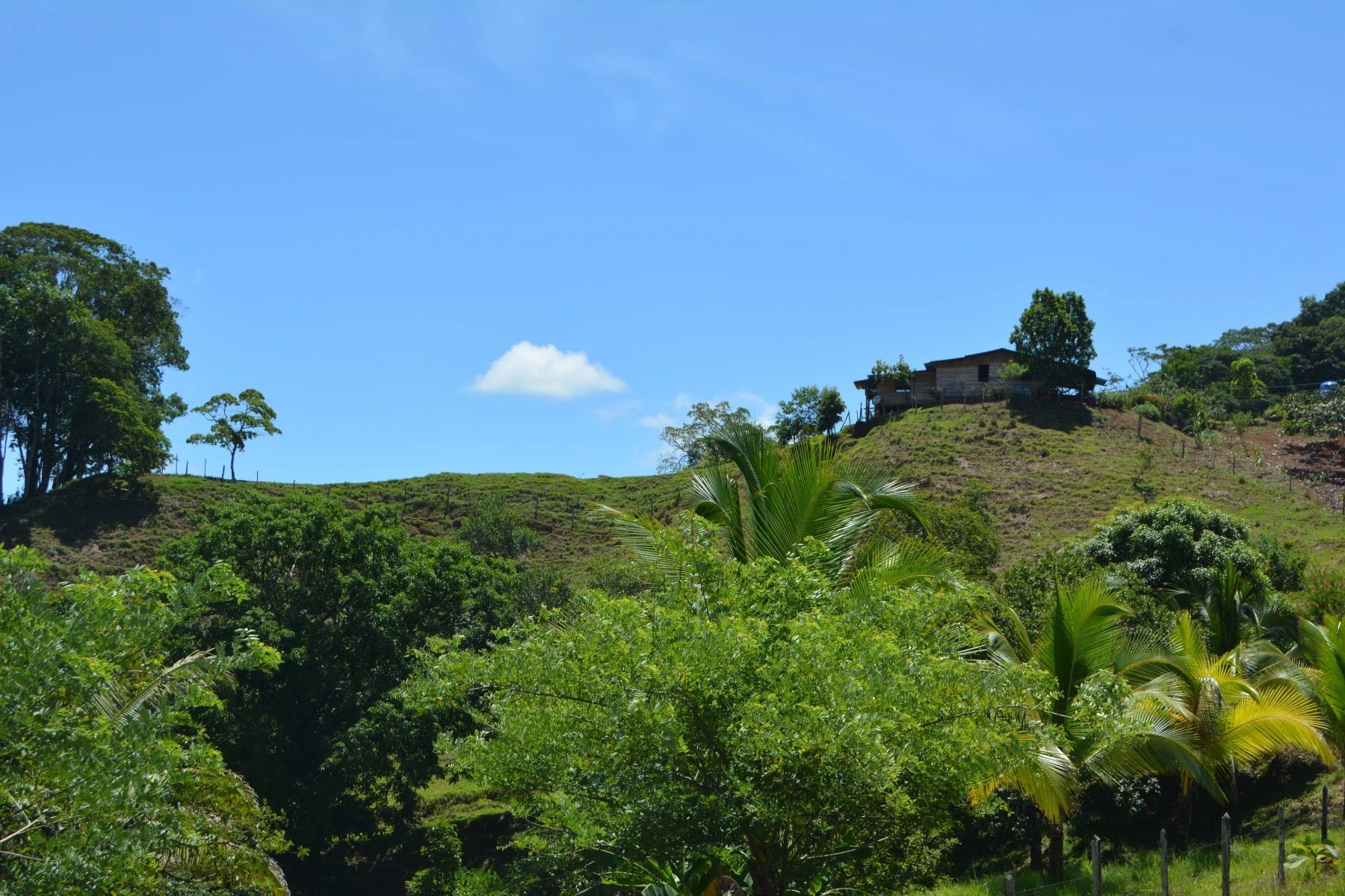 Osa Peninsula Los Mogos Property — photo 9 of 15