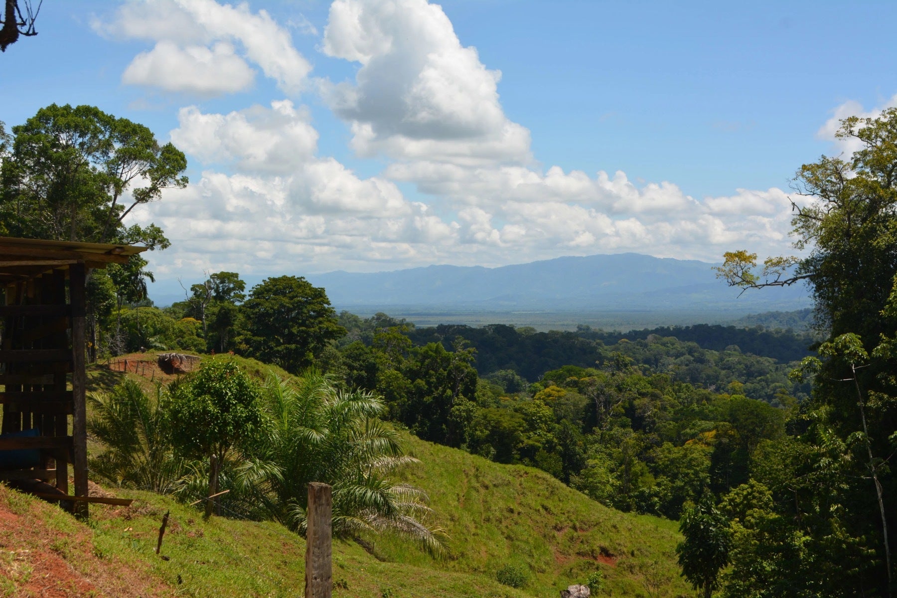 Osa Peninsula Los Mogos Property — photo 15 of 15