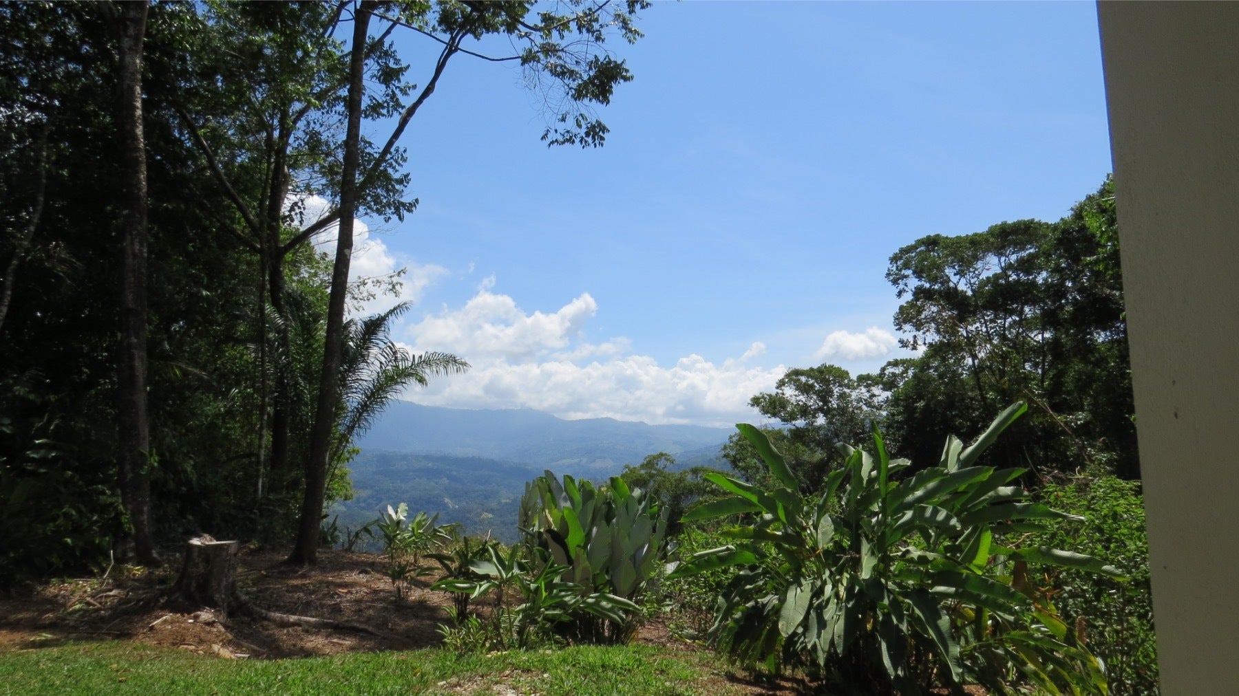 Casa Amanecer in Lagunas Southern Zone — photo 9 of 13