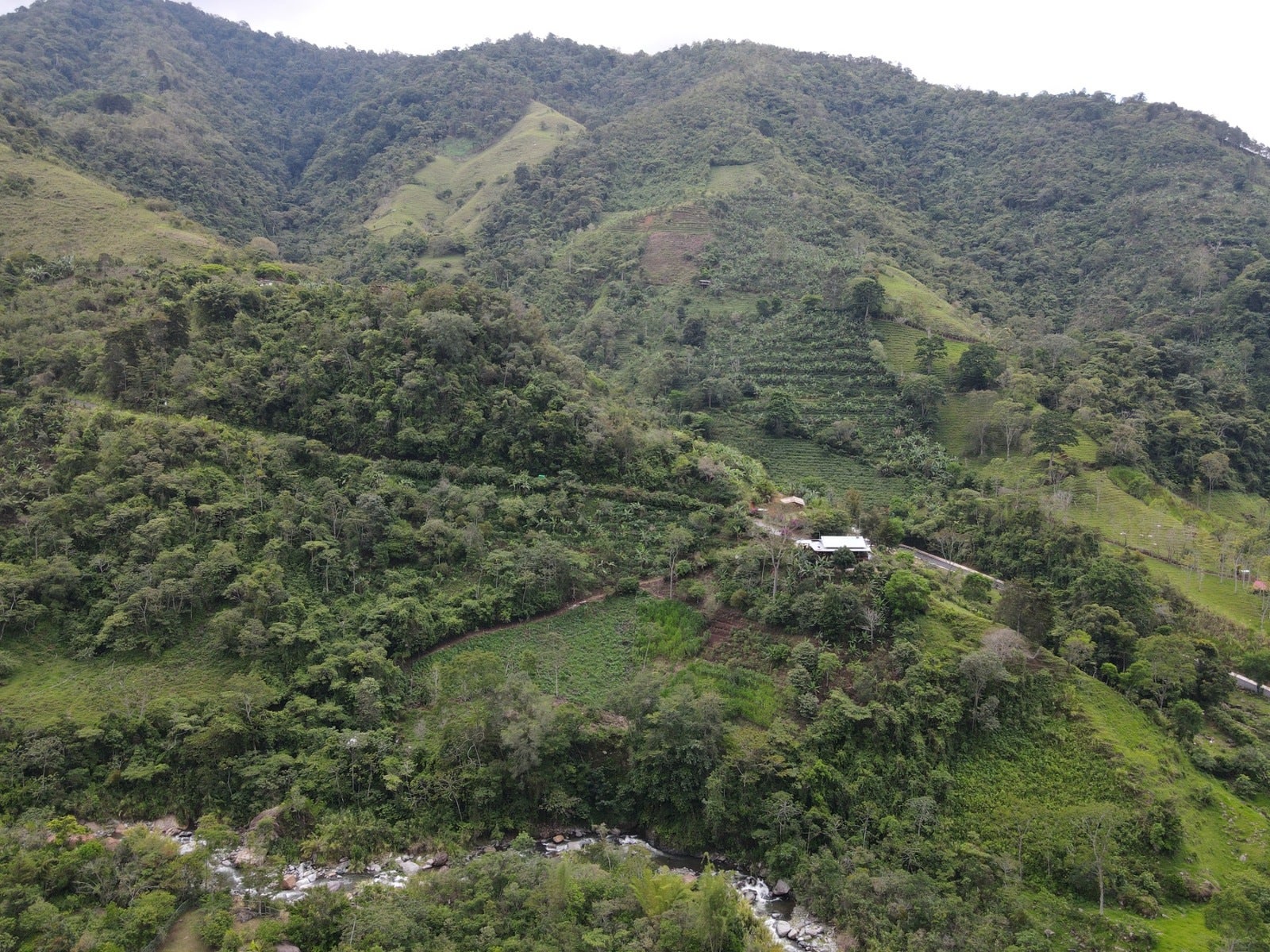 Commercial Farm with River Access — photo 9 of 10