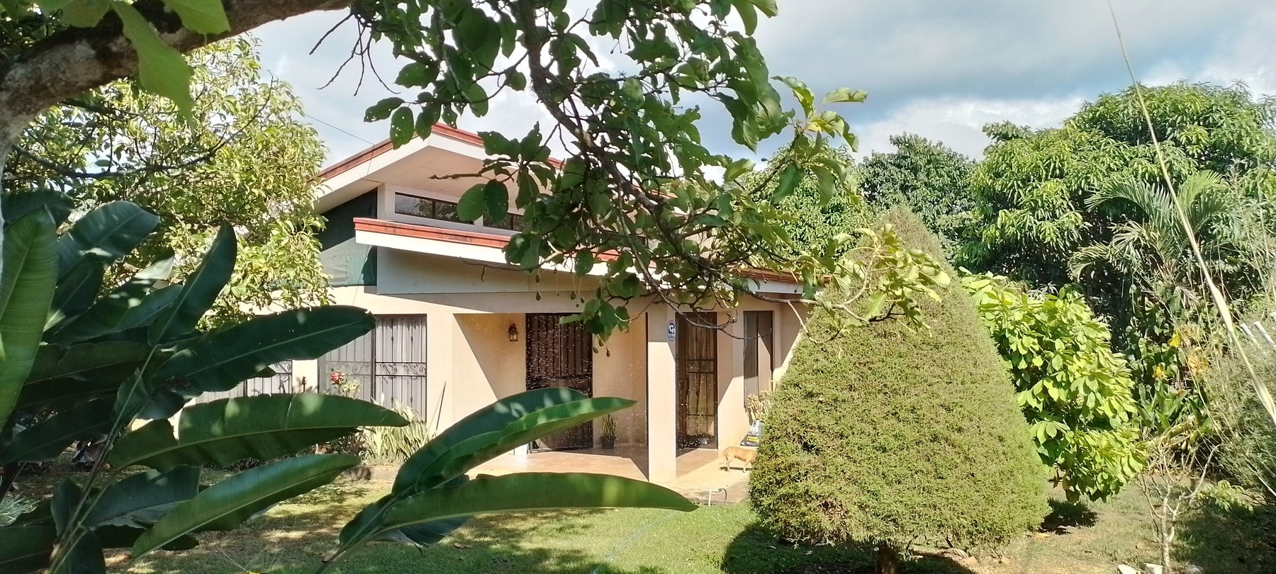 Cozy Rural House Minutes from Town, San Isidro del General, Perez Zeledon, Perez Zeledon, San Jose, Costa Rica 11901