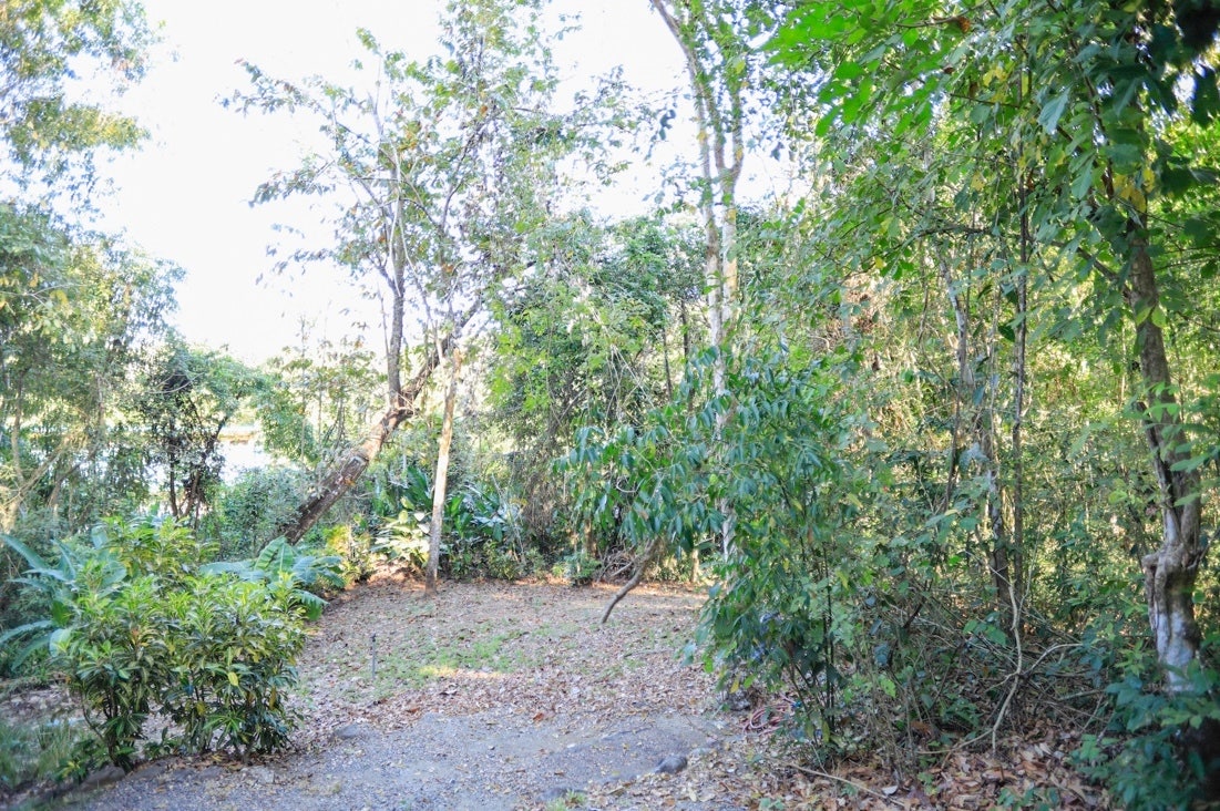 Mal Pais Home and Jungle Lot — photo 12 of 16