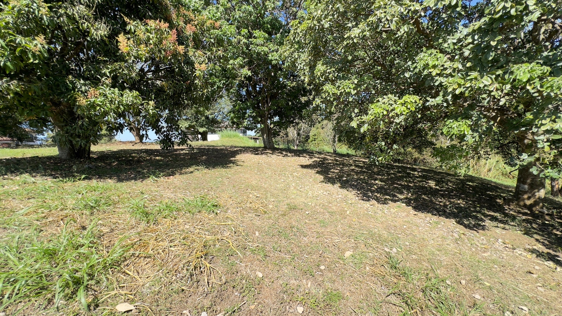 Hacienda el Gregal. Opportunity and exclusivity — photo 6 of 7