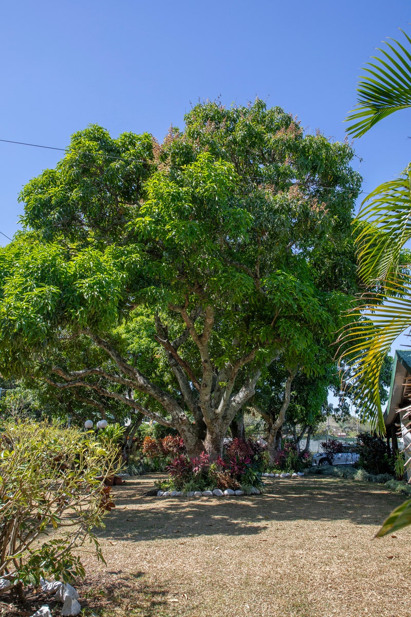 Piedades Commercial Property with Owner Financing — photo 13 of 16