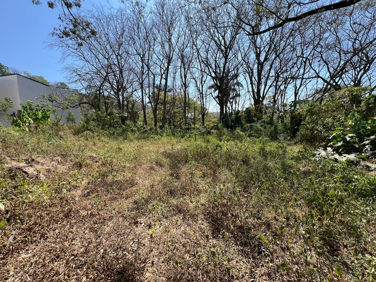 Comercial or Residendial Lot by the Crossroads — photo 4 of 19